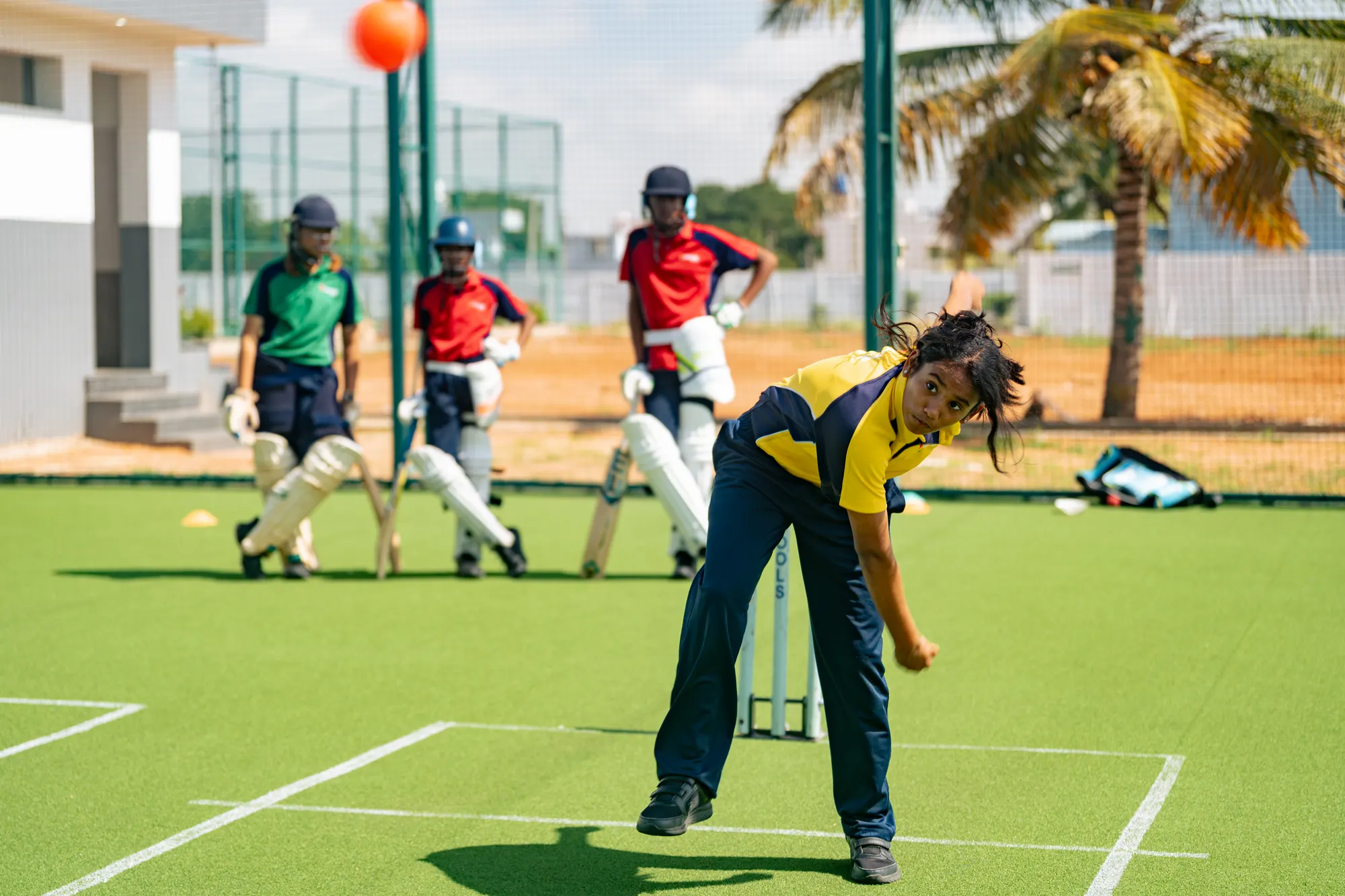 Cricket