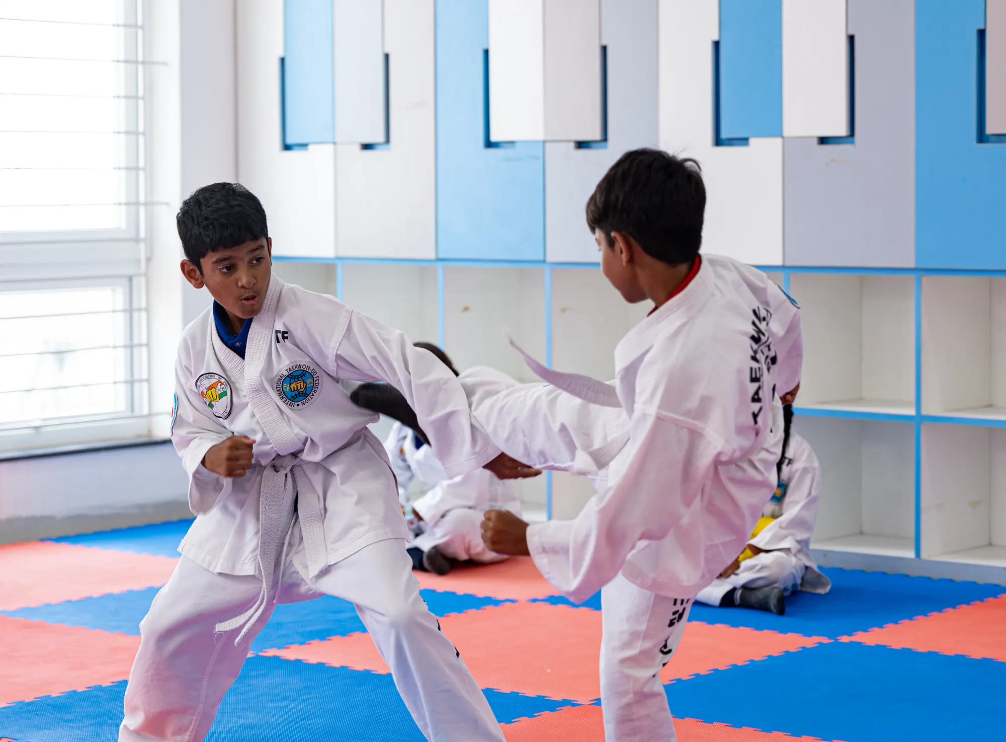 Taekwondo