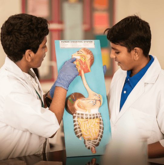 Middle School (Grade 6)